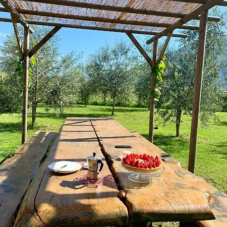 Agriturismo Casa Di Campagna